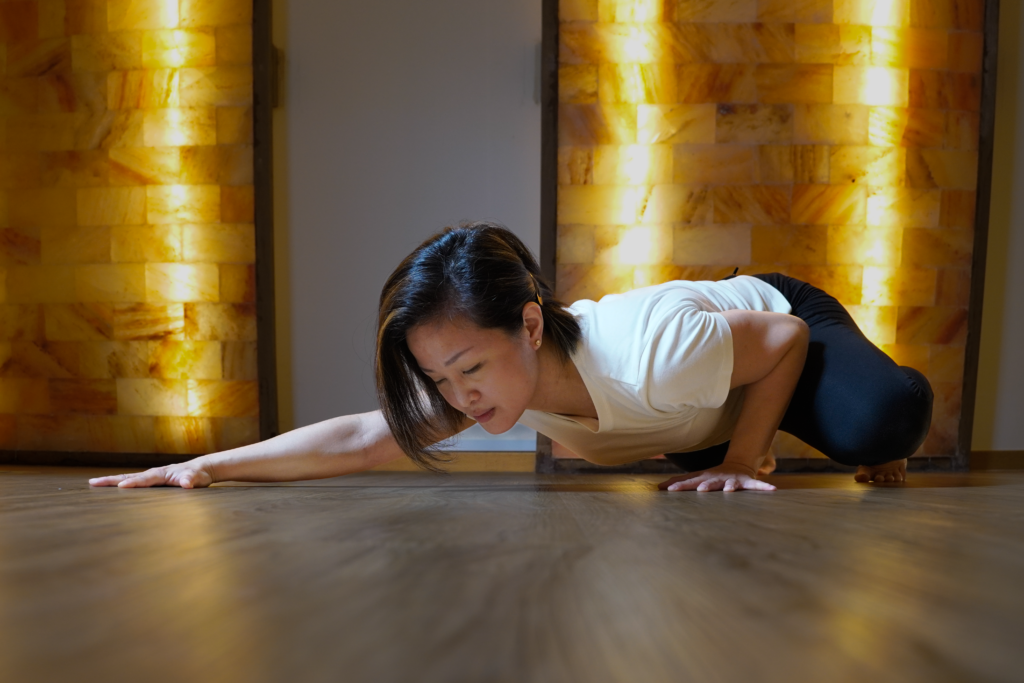 Animal Flow Workout