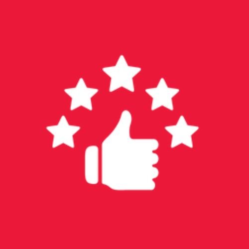 Icon 1