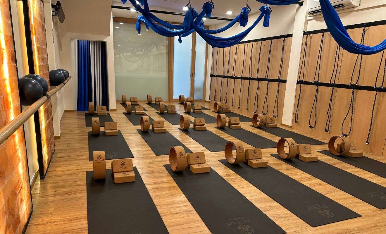 holistic wellness
